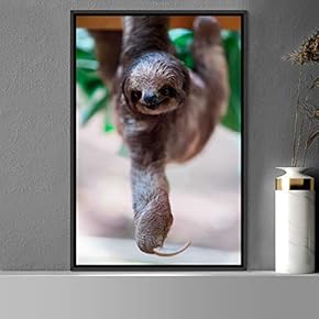 signwin Framed Canvas Wall Art Sloth Animals Expressive...