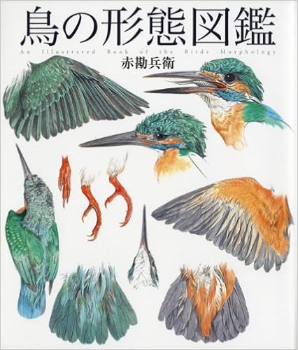 鳥の形態図鑑 (細密画シリーズ) (日本語) 大型本 – 2008/7/1の表紙