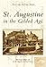 St. Augustine in the Gilded Age (Postcard History: Florida) by Beth Rogero Bowen, St. Augustine Historical Society