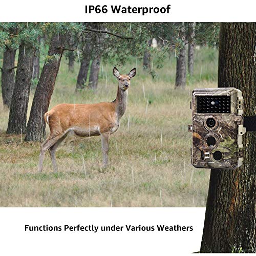 5 Meidase+Upgraded+Activated+Recording+Waterproof