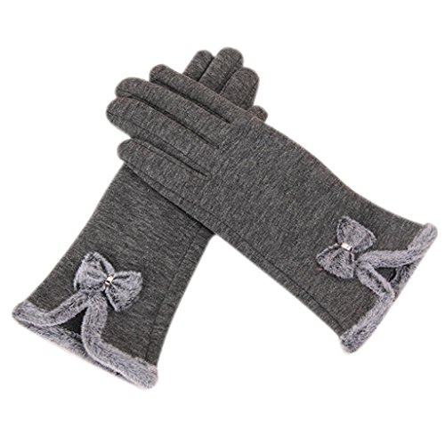 Blackobe Winter Warm Screen Riding Drove Gloves for Women (Gray)