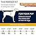RUFFWEAR, Float Coat Dog Life Jacket for Swimming, Adjustable and Reflective, Sockeye Red, Small