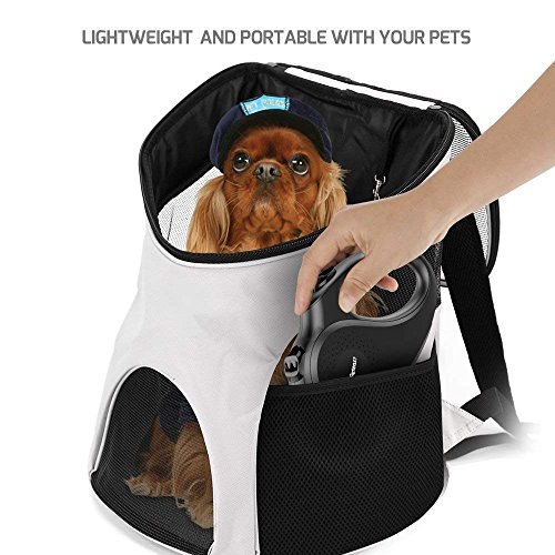 Peteast Retractable Dog Leash Small Breed, Patented Dog Leash for Small Dog, Leash Up to 26lbs, 10ft, Portable Design with One Button Brake/Lock, Comfortable Hand Grip