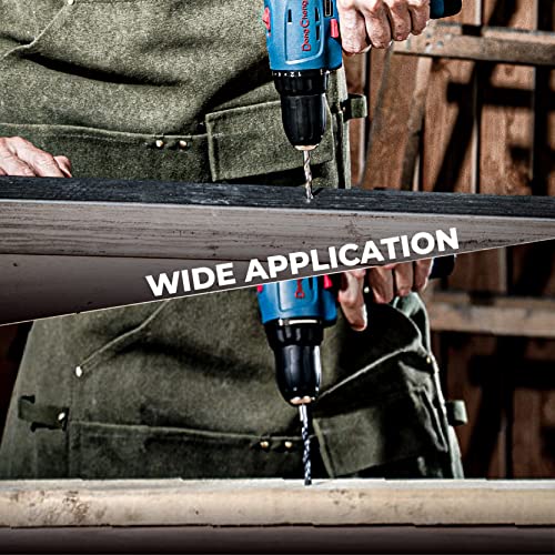 DongCheng 12V Max Akku-Bohrschrauber 30N.m,16+1,10m'm Schnellspannbohrfutter Bohrschrauber-Set (0-500/0-1500)mit 17-teiligem Handwerkzeugsatz für Heimwerkerprojekte,40 mins Schnellladegerät, DCJZ10-10