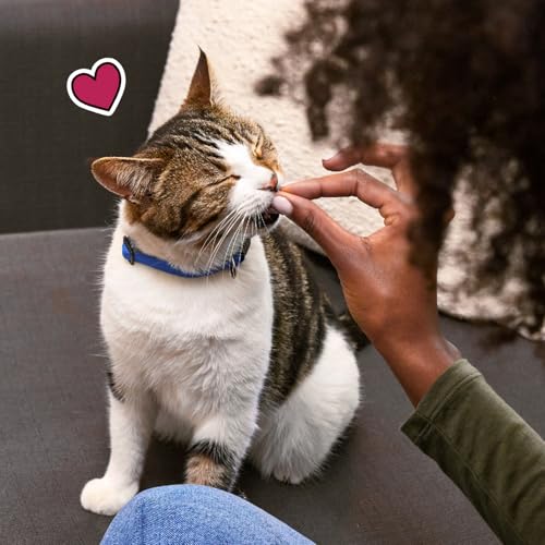 TEMPTATIONS CAT TREATS CLASSIC CRUNCHY AND SOFT CAT TREATS, TASTY CHICKEN FLAVOR, 3 OZ. POUCH