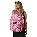 JanSport JS00T69D3H0 Digital Student Laptop Backpack, Prismpinkprettyposey