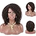 Kalyss Brown Highlights Afro Kinky Curly Wigs for Black Women Premium Synthetic Hair Wig Curved Part Natural Looking Hair Wigs for Women Daily Wear Hairpiece
