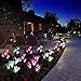 Weepong Flower Solar Lights Outdoor - 3 Pack Waterproof Solar Garden Lights with 12 Bigger Lily Flowers, Color-Changing Outdoor Lights for Patio, Back Yard, Garden, Lawn, Pathway(White, Purple, Red)