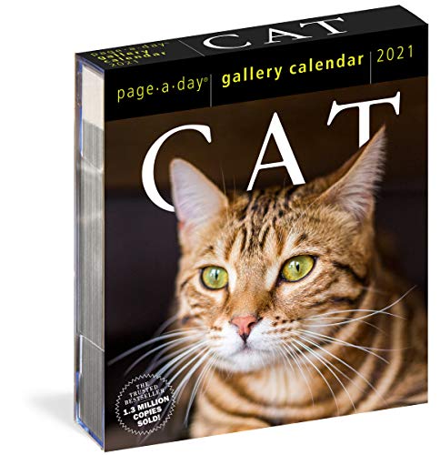 Cat Page A Day Gallery Calendar 2021 Buy Online In INDIA At Desertcart