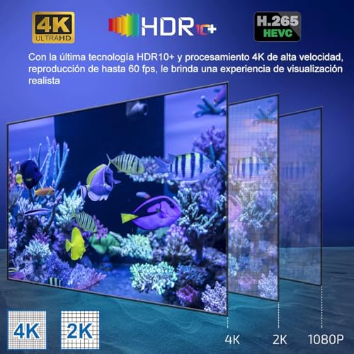 BJLBOJEY TV Box,Android TV Box con 4GB RAM 32GB ROM, TV Box 4K con Android 13.0, 2.4/5G Doble WiFi,HDR10+,Control Remoto IR