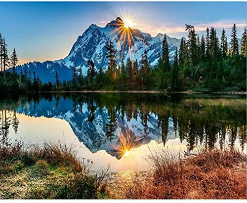 DIY Painting by Number Kits,Oil Paint Drawing Color Bottom Canvas with Brushes Christmas Decor Decorations Gifts - 16 * 20 inch Frame