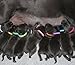 WhelpIDCollars - Puppy ID Bands - 12 Colors | Made from Velcro Brand ONE-WRAP | Standard Size 13.4 in