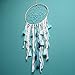Dream Catcher Handmade Traditional Tassel Dream Catcher Wall Hanging Home Decoration (Tassel Bohemia)