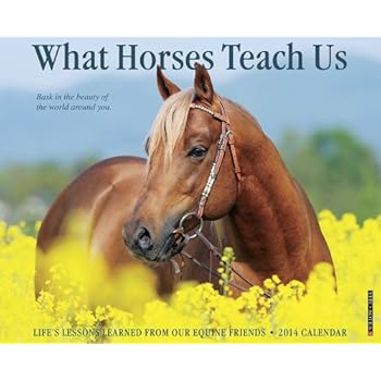 What Horses Teach Us 2014 Wall Calendar