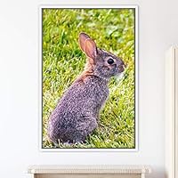 Framed Canvas Wall Art Bunny Animals Bedroom Expressive Multicolor Photography Rabbit Rustic - 16x24 inches