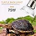 Wuhostam 4 Pack 75W Full Spectrum Sun Lamp Sunbathe Reptile Heating Lamp for Lizard Turtle Chameleon