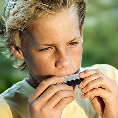 image for Upins 4pcs Key Of C 10 Hole Titanium Color Harmonica With Case For Beg