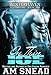 On Thin Ice: Winterhaven Series (VOL 1 - BOOK 1)