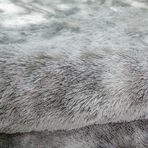 ASIinnsy Living Room Rug, Long Hair, Shaggy Modern Room Carpets, Large, Grey, Non-Slip, Soft, for Bedroom, Dining Room, Plush Rug (200 x 250 cm, Grey White)