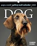 Dog Page-A-Week Gallery Wall Calendar 2020 by 