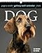 Dog Page-A-Week Gallery Wall Calendar 2020 by 