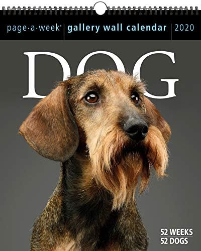 Dog Page-A-Week Gallery Wall Calendar 2020