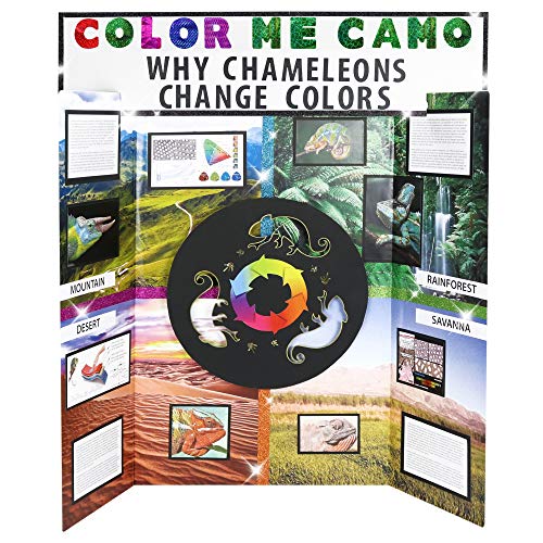 6 ArtSkills+Corrugate+Trifold+Display+Header