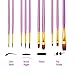 Purple Paint Brushes, heartybay Paint Brush Set Round Pointed Tip Nylon Hair Artist Acrylic Brush Watercolor Oil Painting (10pcs)
