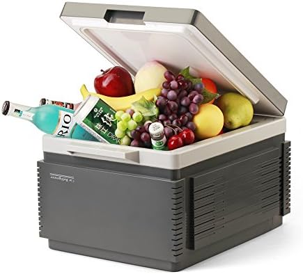 Mini Fridge, 12L Capacity, Cooling and Heating Box, Easy to Carry, for Vehicle, Indoor or Travel, Pack of 1, by SOAC (With Cigarette-lighter Adapter (Standard), Grey)