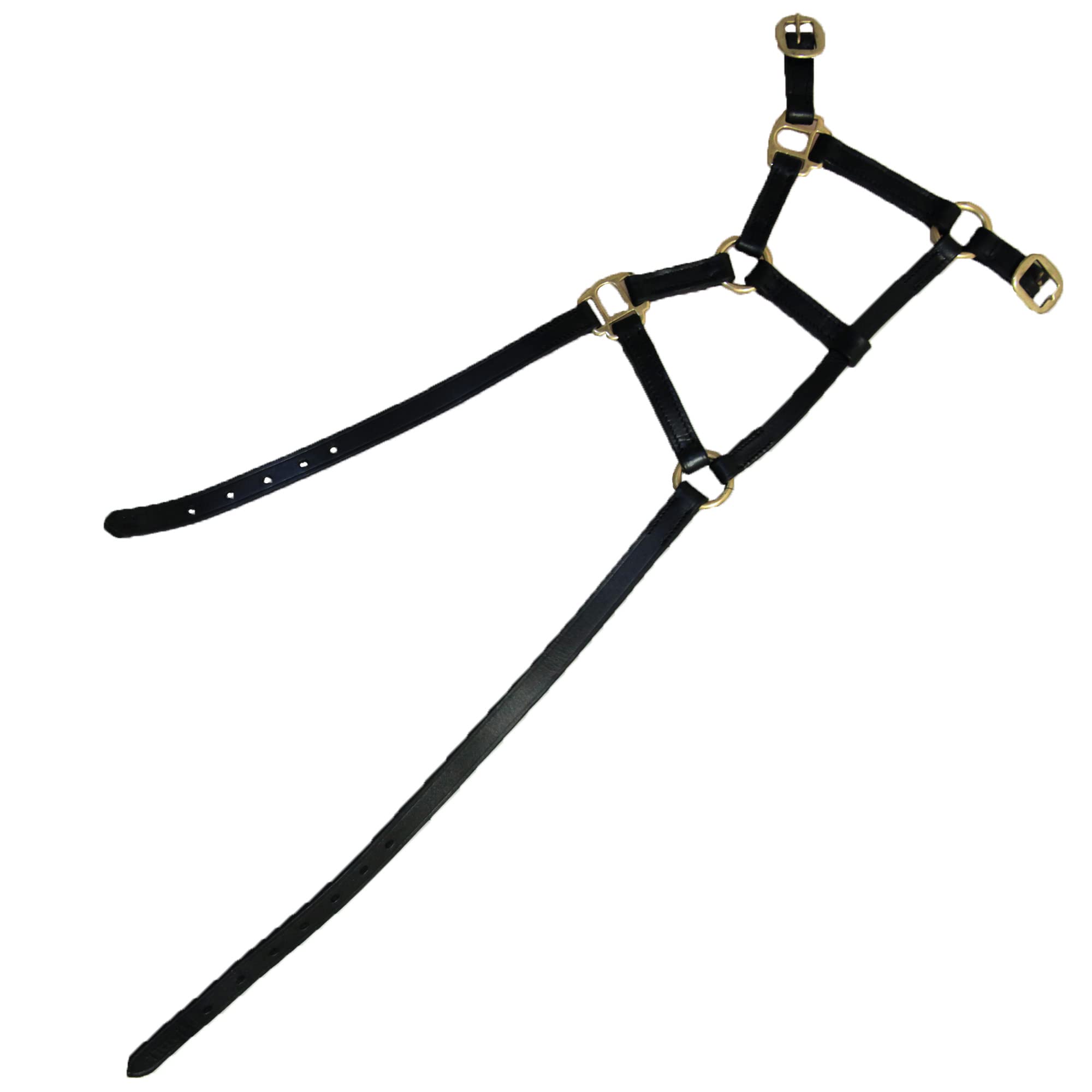 Foal Slip Hy Leather Foal Head Collar, Black, Small