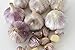 Joy Natural Fermented Black Garlic Whole Bulbs, Packed in air tight resealable zip bag, Fermented and Packed in Korea, 250 g
