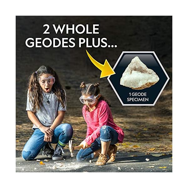 NATIONAL GEOGRAPHIC Edelsteine und Fossilien Set - 200-teiliges Set mit Geoden und Echten Fossilien -Rosenquarz Jaspis… – Bild 4