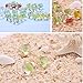 CiCy 24pcs 1