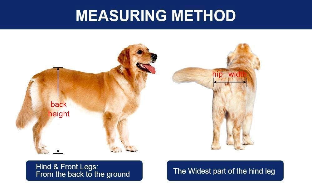 silla de ruedas para perros amazon