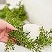 Darice Boxwood Garland: Green, 6 x 72 inches Wreath, 24 inches