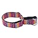 EXPAWLORER Martingale Collars for Dogs, Heavy Duty Nylon Dog Collar Large