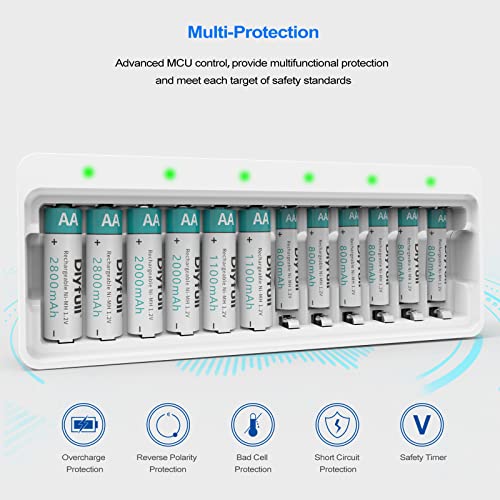 Dlyfull 12 Bay AA AAA Battery Charger, USB and TypeC Selectable High