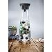 WMF Water Carafe, 8-Cup, Basic Black