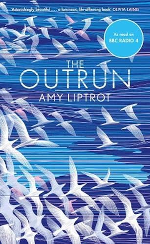 Download The Outrun PDF