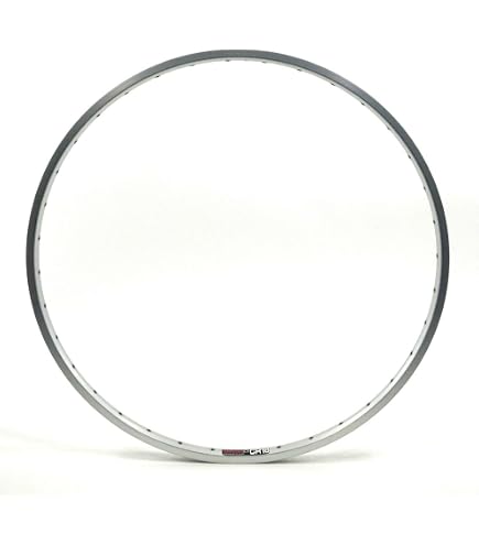 Amazon.com : DT Swiss R 460 DB 700c : Sports & Outdoors