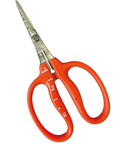 Amazon.com : Chikamasa Garden Scissors B500SLF by CHIKAMASA