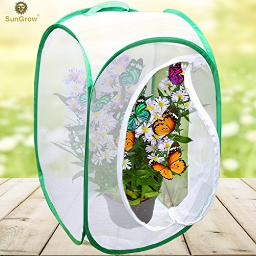 SunGrow Foldable Butterfly Habitat, 24