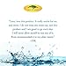 Pure Hyaluronic Acid Serum For Face with Vitamin C, Vitamin E Oil, Aloe Vera Plant, Witch Hazel Toner - Best Anti Aging/wrinkle Face Serum, Eye Cream, Acne Treatment, Pore Minimizer, Face Moisturizer