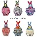 Female Dog Suspender Sanitary Pant Panty Diaper with Dots - XXS Random Color
