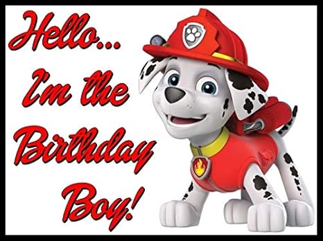 marshall off of paw patrol