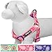 Blueberry Pet 5 Colors Soft & Comfy Step-in Paisley Flower Print Dog Harness, Chest Girth 15.5