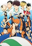 Haikyuu!! Shoyo Hinata Group - High Grade Laminated Poster