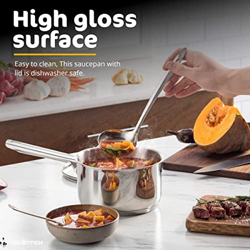 GOURMEX 2.6 Qt Induction Saucepan Stainless Steel Pot With Glass