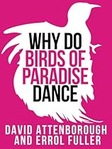 Viva Poncho: Twenty Ponchos and Capelets to Knit