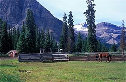 Amazon Com Log Cabin Horse And Corral Banff National Park